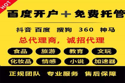 竞价广告投放技巧：如何提高转化率——案例分析